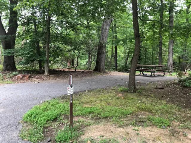 B Loop Site 53 Greenbelt Park Maryland Campground