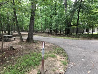 B Loop Site B 60 Greenbelt Park Maryland campground (Same site -Previously Site 60)