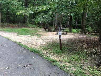 B Loop Site B 61 Greenbelt Park Maryland campground (Same site -Previously Site 61)