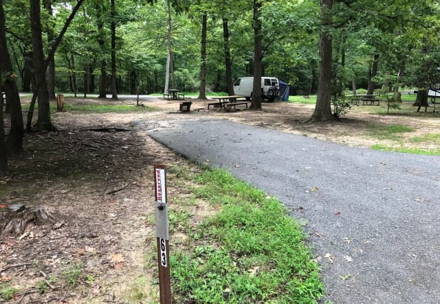 B Loop Site B 63 Greenbelt Park MD campground (Same site -Previously Site 63)