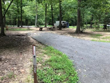B Loop Site B 63 Greenbelt Park Maryland campground (Same site -Previously Site 63)