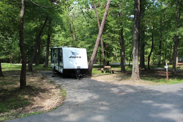 B Loop Site B 64 Greenbelt Park MD campground (Same site -Previously Site 64)