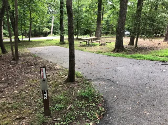 B Loop Site B 65 Greenbelt Park MD campground (Same site -Previously Site 66)