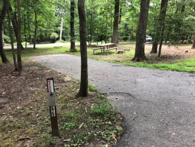 B Loop Site B 65 Greenbelt Park Maryland campground (Same site -Previously Site 66)