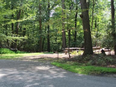 B Loop Site B 67 Greenbelt Park Maryland campground (Previously Site 68)