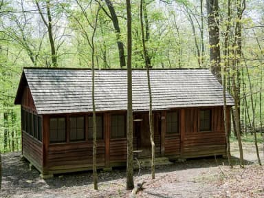 Camp Misty Mount Cabin 20