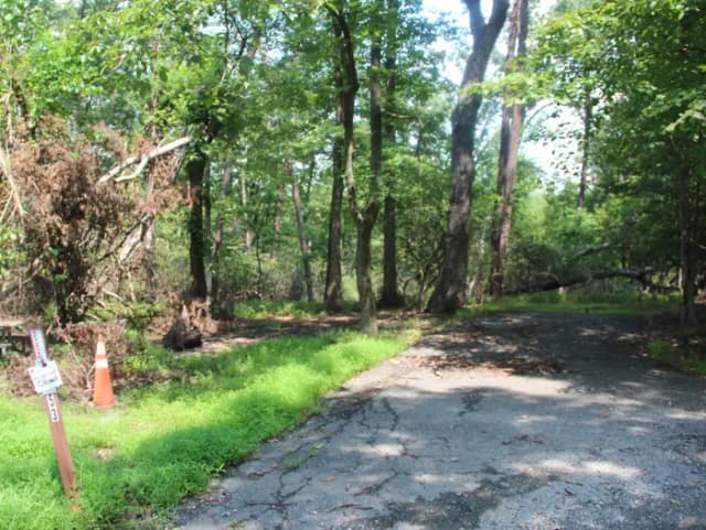 B Loop Site 54 Greenbelt Park MD Campground