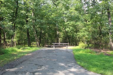 B Loop Site B 55 Greenbelt Park Md campground (Previously Site 54)