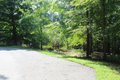 B Loop Site B 57 Greenbelt Park MD campground (Previously Site 56)