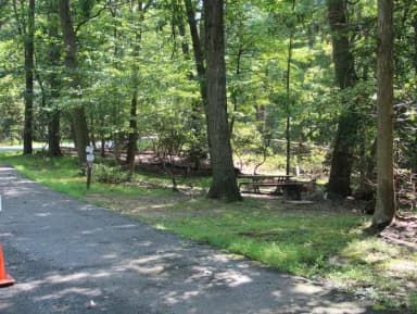 B Loop Site B 66 Greenbelt Park MD campground (Same site -Previously Site 67)