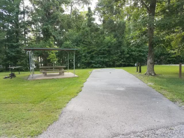 A photo of Site 03 of Loop MAGNOLIA RIDGE  at MAGNOLIA RIDGE with Picnic Table, Electricity Hookup, Waterfront, Lantern Pole