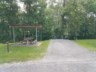 A photo of Site 04 of Loop MAGNOLIA RIDGE  at MAGNOLIA RIDGE with Picnic Table, Electricity Hookup, Fire Pit, Lantern Pole