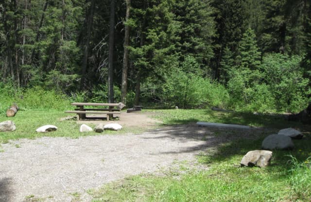 Site 5, campsite surrounded by pine trees, picnic table & fire ring