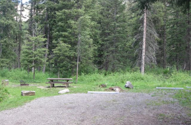 Site 6, campsite surrounded by pine trees, picnic table & fire ring