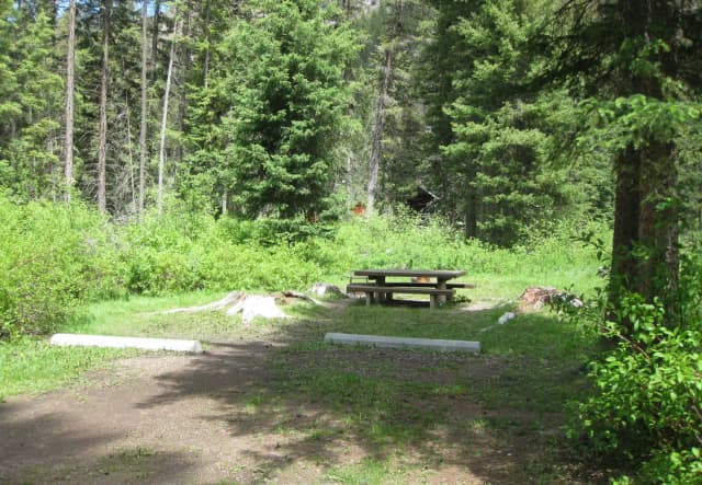Site 7, campsite surrounded by pine trees, picnic table & fire ring