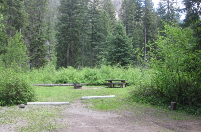 Site 8, campsite surrounded by pine trees, picnic table & fire ring