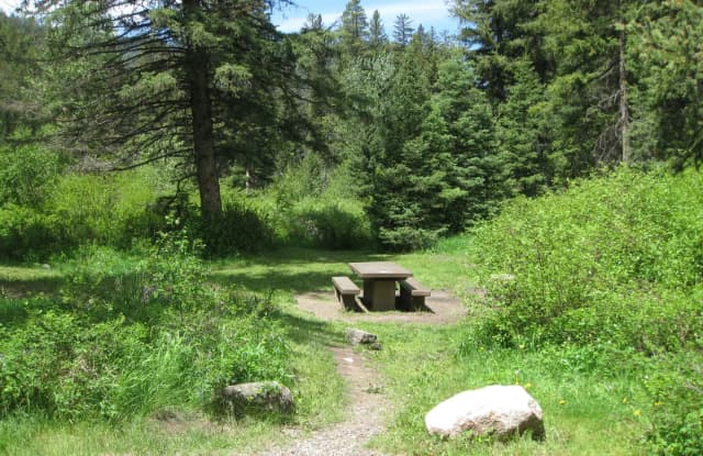 Site 10, campsite surrounded by pine trees, picnic table & fire ring