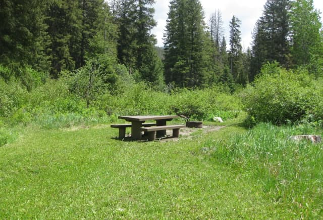 Site 11, campsite surrounded by pine trees, picnic table & fire ring