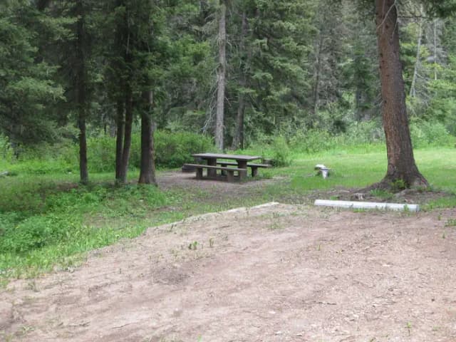Site 2, campsite surrounded by pine trees, picnic table & fire ring