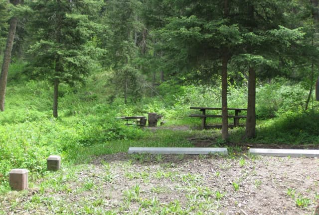 Site 3, campsite surrounded by pine trees, picnic table & fire ring