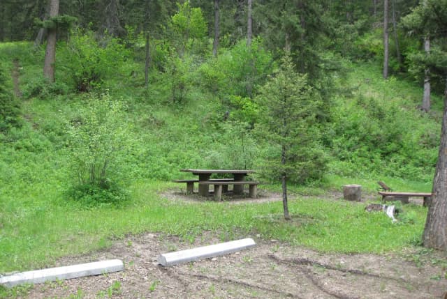 Site 4, campsite surrounded by pine trees, picnic table & fire ring
