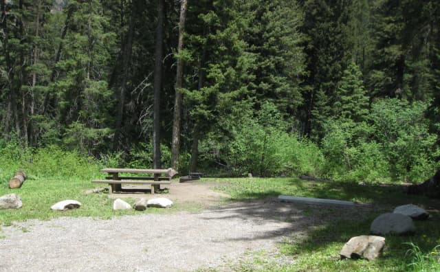 Site 9, campsite surrounded by pine trees, picnic table & fire ring
