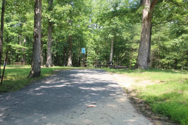 C106 C Loop of the Greenbelt Park Md campground