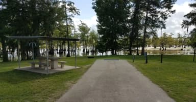 A photo of Site 17 of Loop MAGNOLIA RIDGE  at MAGNOLIA RIDGE with No Amenities Shown