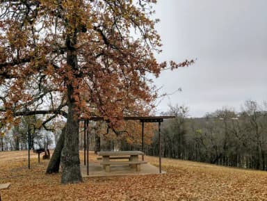 Site #25