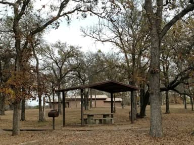 SITE #31