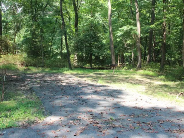 D154 D Loop of the Greenbelt Park Md campground