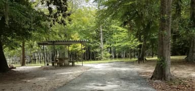 A photo of Site 23 of Loop MAGNOLIA RIDGE  at MAGNOLIA RIDGE with Picnic Table, Electricity Hookup, Fire Pit, Waterfront, Lantern Pole, Water Hookup