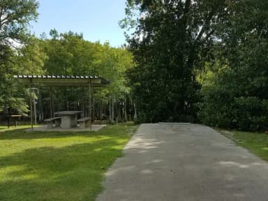 A photo of Site 28 of Loop MAGNOLIA RIDGE  at MAGNOLIA RIDGE with Picnic Table, Fire Pit, Shade, Lantern Pole