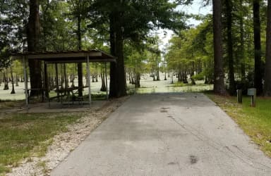 Site 39 at Magnolia Ridge
