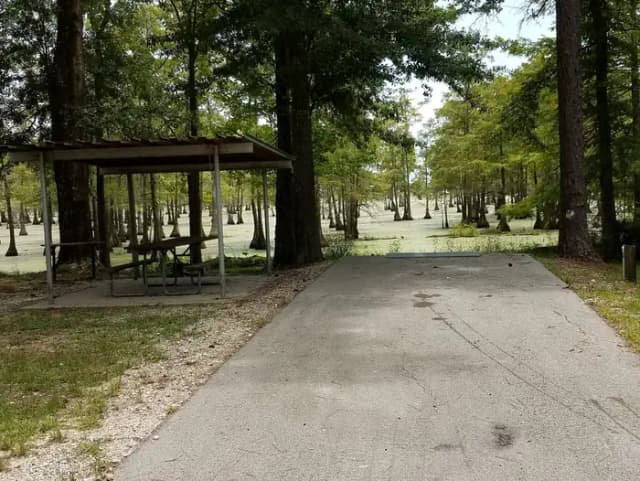 Site 39 at Magnolia Ridge