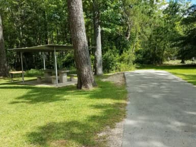 Site 41 at Magnolia Ridge