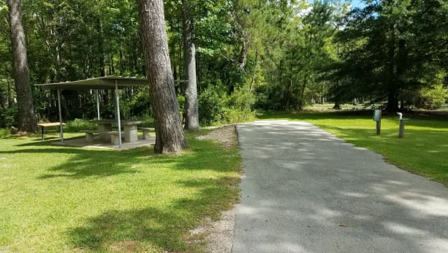 Site 41 at Magnolia Ridge