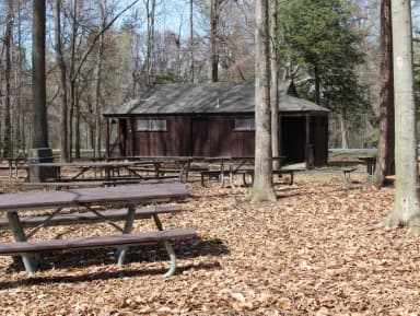 Holly Reserved Picnic Area from the rear  Greenbelt Park Maryland