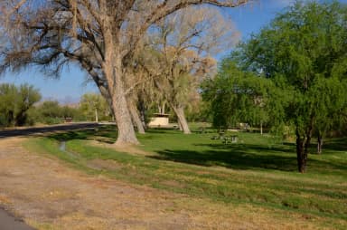 Tree-lined campsite with flat, grassy areas