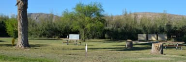 Flat, grassy, open area with picnic tables and food storage boxes