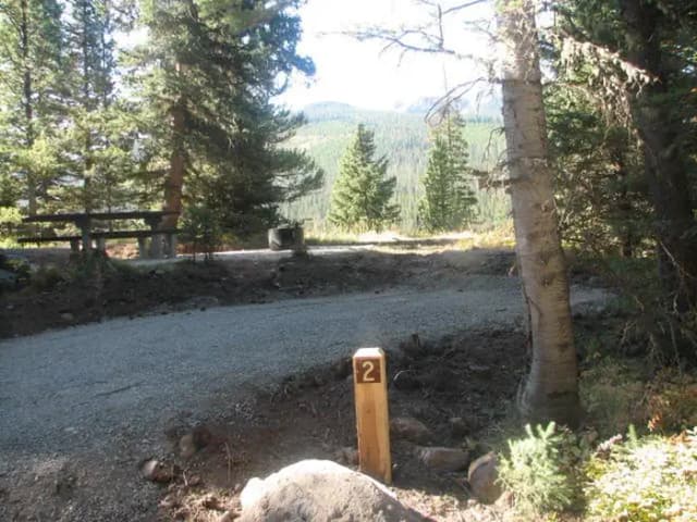 Site 2, campsite surrounded by pine trees, picnic table & fire ring