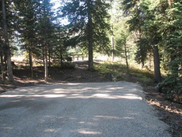 Site 3, campsite surrounded by pine trees, picnic table & fire ring