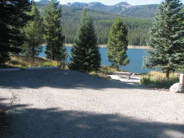 Site 4, campsite surrounded by pine trees, picnic table & fire ring