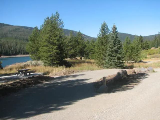 Site 6, campsite surrounded by pine trees, picnic table & fire ring