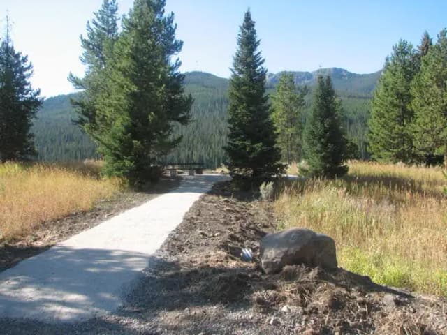 Site 7, campsite surrounded by pine trees, picnic table & fire ring