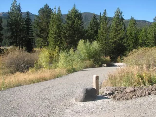 Site 8, campsite surrounded by pine trees, picnic table & fire ring