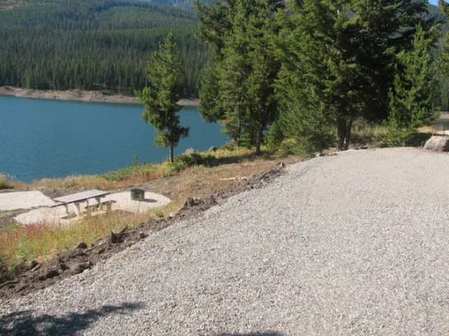 Site 9, campsite surrounded by pine trees, picnic table & fire ring