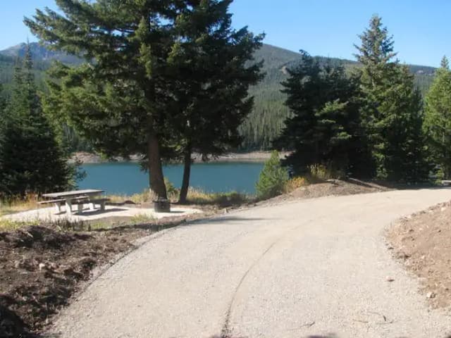 Site 10, campsite surrounded by pine trees, picnic table & fire ring