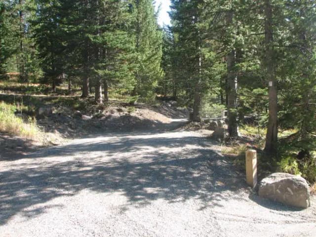 site 14, campsite surrounded by pine trees, picnic table & fire ring