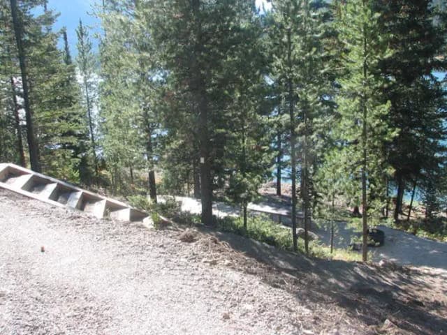 Site 15, campsite surrounded by pine trees, picnic table & fire ring